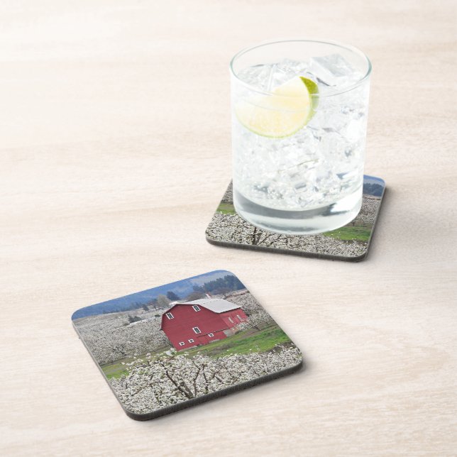 Scenic Red Barn and Pear Blossoms Coaster (Right Side)