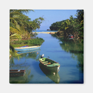 Scenic river near Ocho Rios in Jamaica Magnet