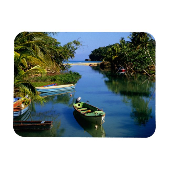 Scenic river near Ocho Rios in Jamaica Magnet (Horizontal)