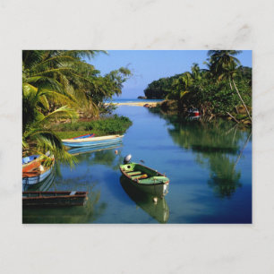 Scenic river near Ocho Rios in Jamaica Postcard