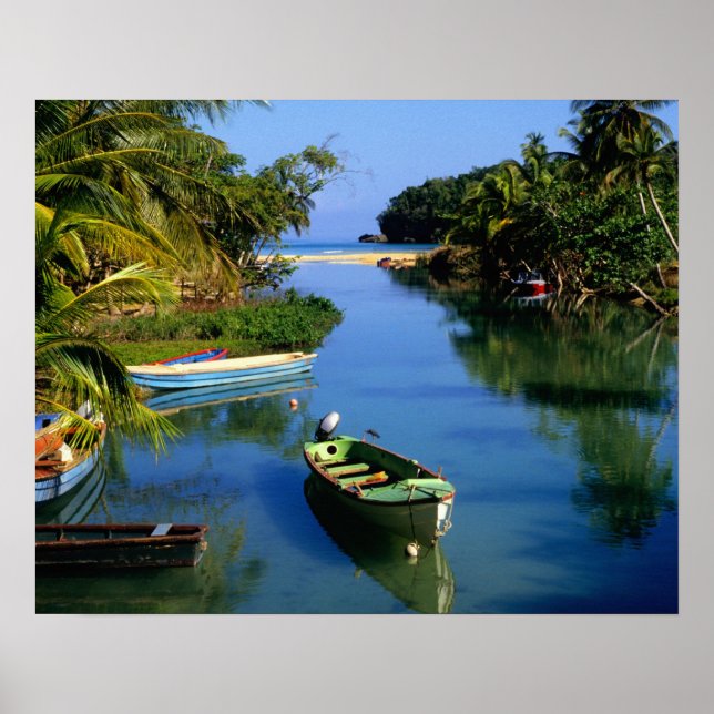 Scenic river near Ocho Rios in Jamaica Poster (Front)