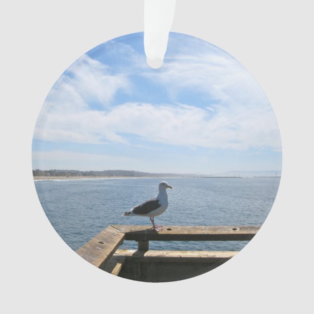 Scenic Seagull Acrylic Ornaments (Front)