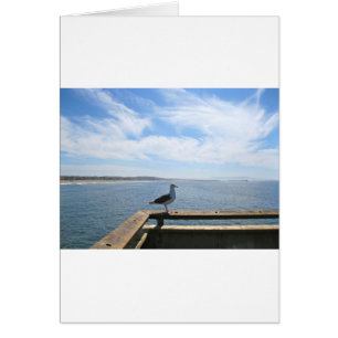Scenic Seagull Card