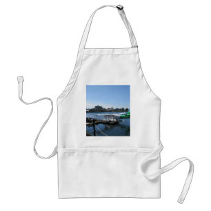Scenic Seaplane in Victoria Standard Apron