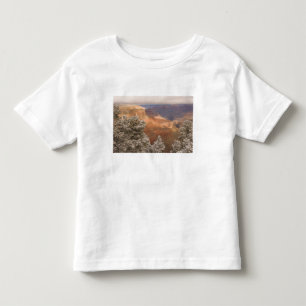 Scenic snowy winter landscape along the south toddler T-Shirt