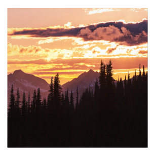 Scenic Sunset Mountains Jungle Pine trees Fall Woo Photo Print