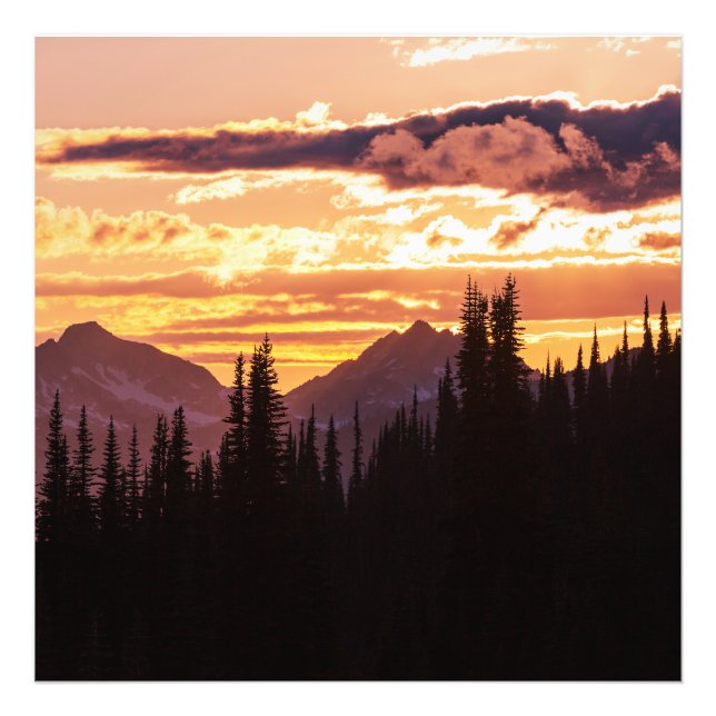 Scenic Sunset Mountains Jungle Pine trees Fall Woo Photo Print (Front)