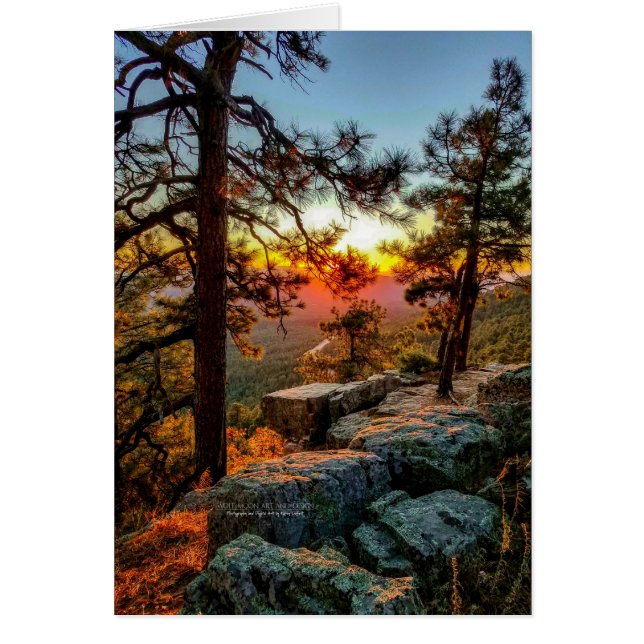 Scenic Sunset View / Pine Trees / Mogollon Rim AZ (Front)