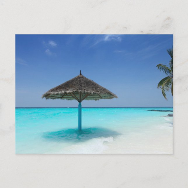 Scenic Tropical Beach with Thatched Umbrella Postcard (Front)