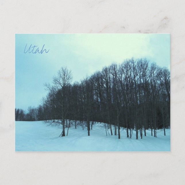 Scenic Utah Postcard (Front)