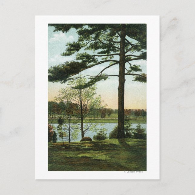 Scenic View at Chestnut Hill Reservoir Postcard (Front)