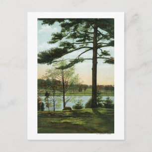 Scenic View at Chestnut Hill Reservoir Postcard