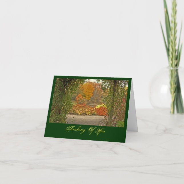 SCENIC VIEW FROM VINE-COVERED ARBOR CARD (Front)