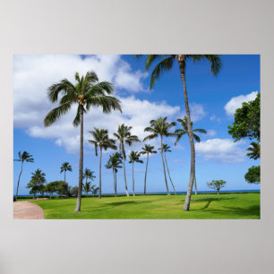 Scenic view of coconut trees poster