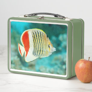 Scenic View of Fish Underwater in the Red Sea Metal Lunch Box