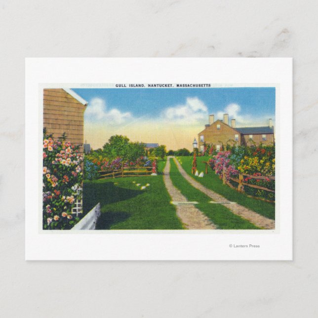 Scenic View of Gull Island Postcard (Front)