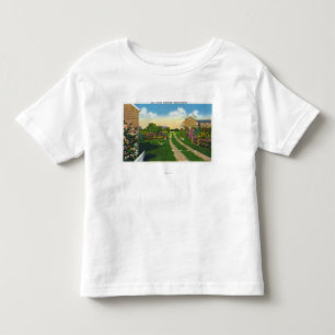 Scenic View of Gull Island Toddler T-Shirt