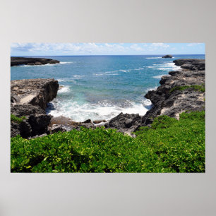 Scenic View of Hawaiian Coast Poster