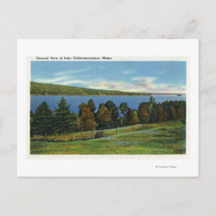 Scenic View of Lake Cobbosseecontee Postcard