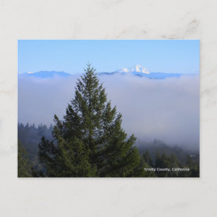 Scenic view of Mt. Shasta..... Postcard
