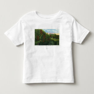 Scenic View of Shadow Lake and Indian Head Toddler T-Shirt
