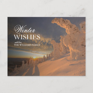 Scenic View of Snow Ghosts at Sunset Postcard