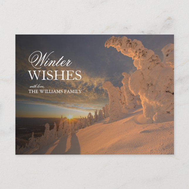 Scenic View of Snow Ghosts at Sunset Postcard (Front)