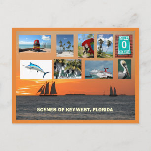 Scenic Views Key West, Florida Postcard
