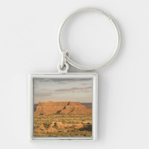 Scenic winter desert landscape on the way into key ring