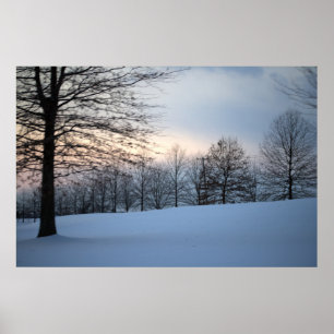 Scenic Winter Trees Poster