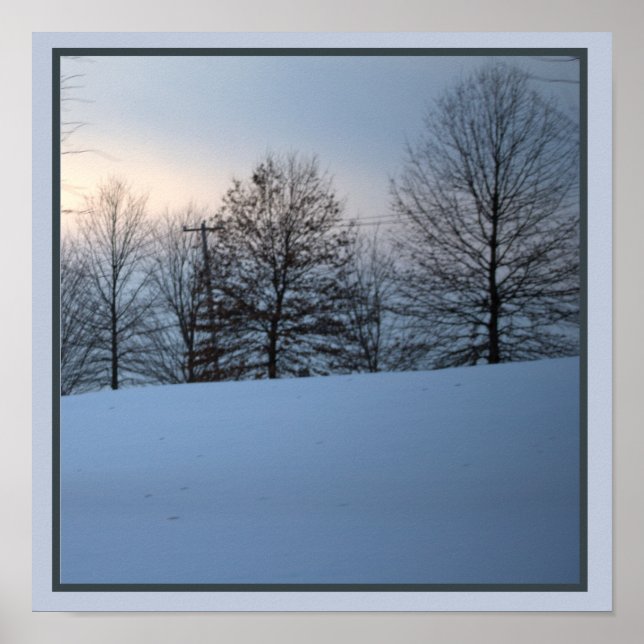 Scenic Winter Trees Poster (Front)