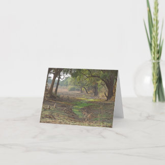 Scenic Zambia Woodland Card