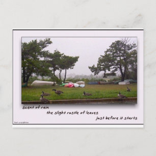 Scent of Rain Postcard