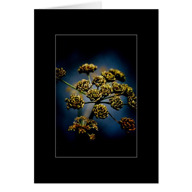 Scented Flowers (Front)