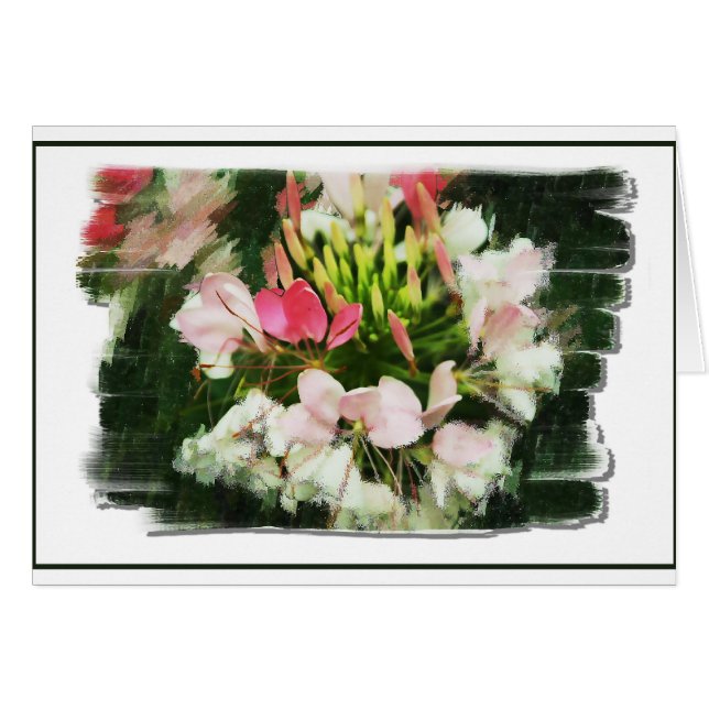 Scents of Colour (Front Horizontal)