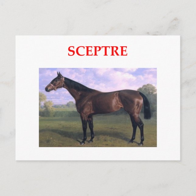 sceptre postcard (Front)
