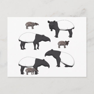 Schabrackentapir Auswahl Postcard
