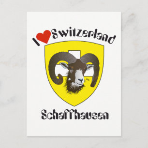 Schaffhausen Schweiz Postkarte Postcard