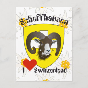 Schaffhausen Schweiz Postkarte Postcard