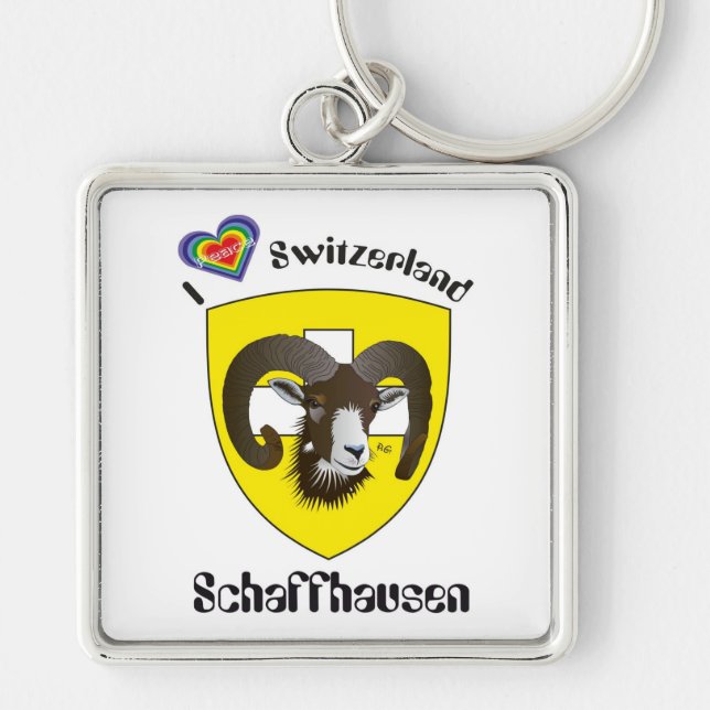 Schaffhausen Schweiz Schlüsselanhänger Key Ring (Front)