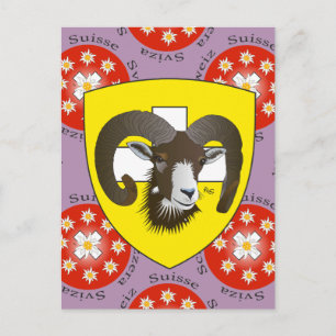 Schaffhausen Switzerland postcard