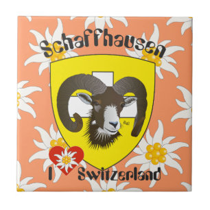 Schaffhausen - Switzerland - Suisse - Svizzera Fli Ceramic Tile