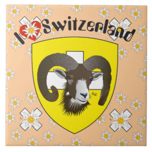 Schaffhausen - Switzerland - Suisse - Svizzera Fli Tile