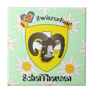 Schaffhausen - Switzerland - Suisse - Svizzera Fli Tile