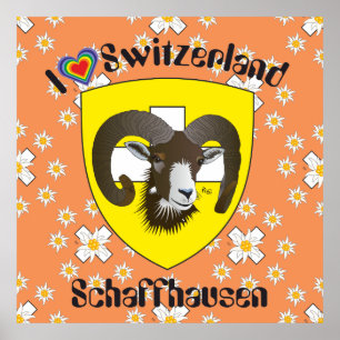 Schaffhausen - Switzerland - Suisse - Svizzera Pos Poster