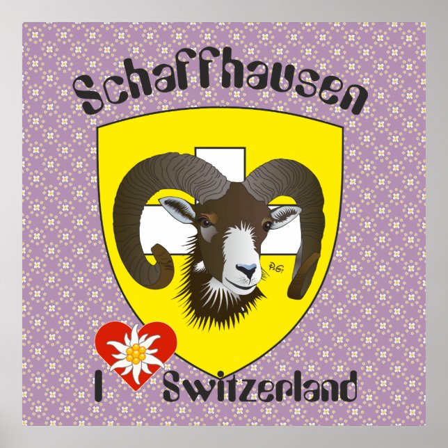 Schaffhausen - Switzerland - Suisse - Svizzera Pos Poster (Front)