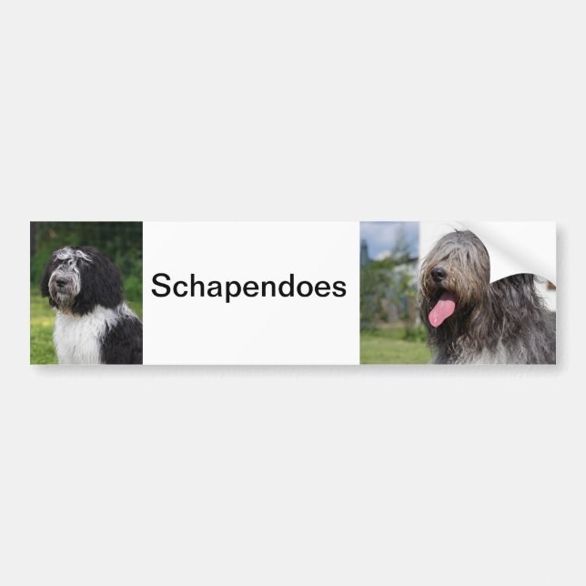 schapendoes bumper sticker (Front)