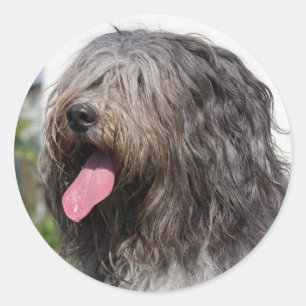 schapendoes classic round sticker