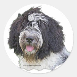 schapendoes classic round sticker
