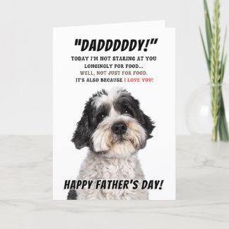 Schapendoes Father's Day Card